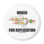 Wired For Replication (DNA Replication) Magnets