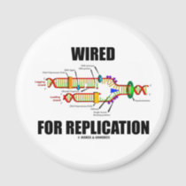 Wired For Replication (DNA Replication) Magnets