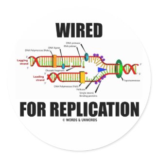 Wired For Replication (DNA Replication) sticker