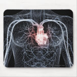 Wireframe of the blood vessels in the upper body mousepad