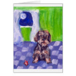 wirehaired dachsund senses smiling moon greeting card