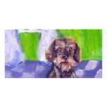 wirehaired dachsund senses smiling moon photo card template