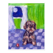 wirehaired dachsund senses smiling moon postcard
