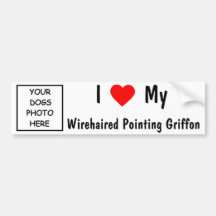 Wirehaired Pointing Griffon Bumper Sticker