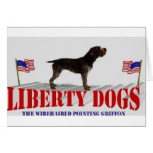 Wirehaired Pointing Griffon Card