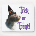 Wirehaired Pointing Griffon Trick mousepads