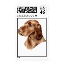 Wirehaired Vizsla Stamps