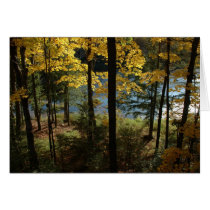 Wisconsin Autumn cards