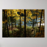 Wisconsin Autumn Print