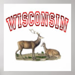 Wisconsin deer scene 35x35 poster