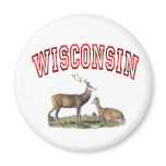 Wisconsin deer scene