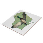 Wisconsin duck   6x6 tile