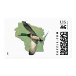 Wisconsin duck postage stamps