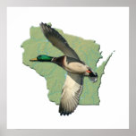 Wisconsin duck print