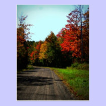 "Wisconsin Fall Colors" Postcard postcards