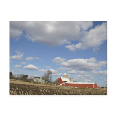 sunny day farms