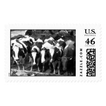 Wisconsin Line Up postage