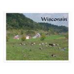 Wisconsin Pasture Postcard