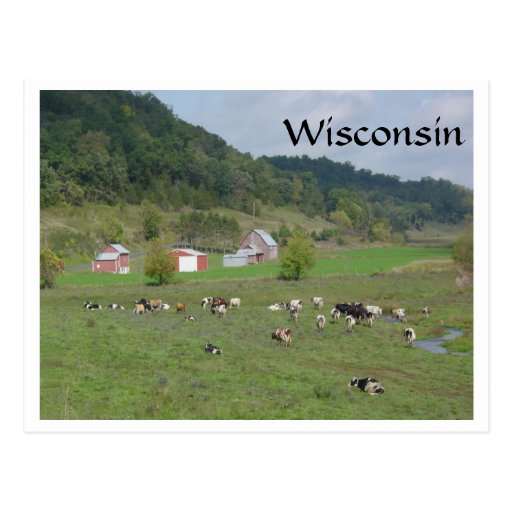 Wisconsin Pasture Postcard