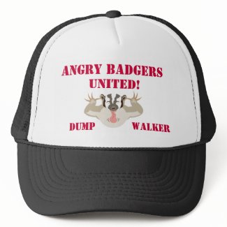 Wisconsin Politics_Angry Badgers United_DumpWalker hat
