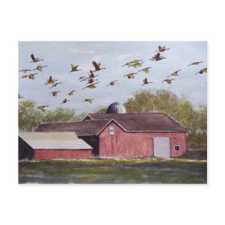 Wisconsin Sand Cranes- postcard postcard
