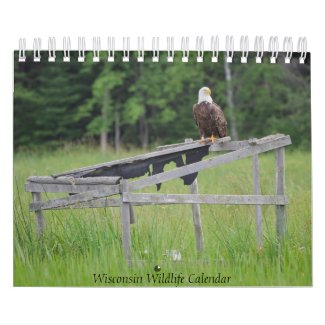 Wisconsin Wildlife Calendar