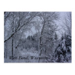 Wisconsin Winter Post Card
