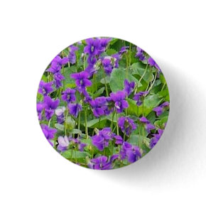 Wisconsin Wood Violets button