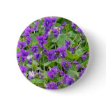 Wisconsin Wood Violets