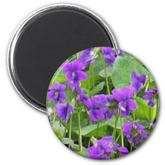 Wisconsin Wood Violets magnet