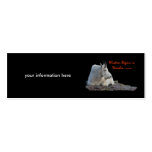 wisdom begins in wonder business card