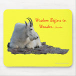 wisdom begins in wonder mouse pads