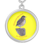 Wisdom Begins in Wonder Jewelry