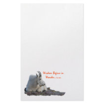 wisdom begins in wonder stationery