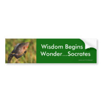 wisdom bumper sticker