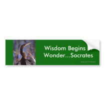 Wisdom Bumper Stickers
