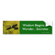 Wisdom Bumper Stickers