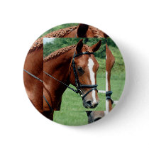Wisdom buttons