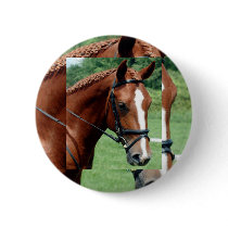 Wisdom buttons