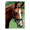 Wisdom cards by Horse_Play Wisdom cards