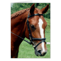 Wisdom cards by Horse_Play Wisdom cards