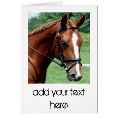 Wisdom Cards by Horse_Play