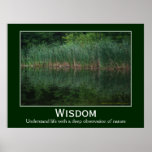 Wisdom Cattails Inspirational Motivational Poster