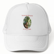 Wisdom hats