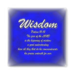 Wisdom magnets
