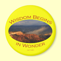 wisdom magnets