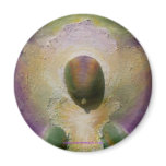 "Wisdom of the Healing Heart" Magnet