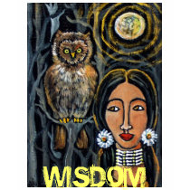WISDOM Owl t-shirts