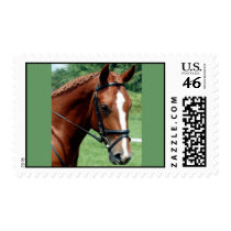 Wisdom postage