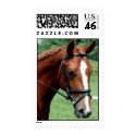 Wisdom postage